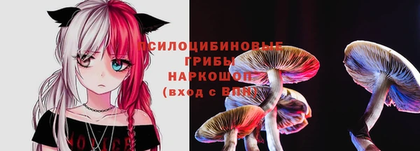 ПСИЛОЦИБИНОВЫЕ ГРИБЫ Вязьма
