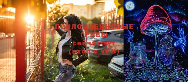 ПСИЛОЦИБИНОВЫЕ ГРИБЫ Вязьма