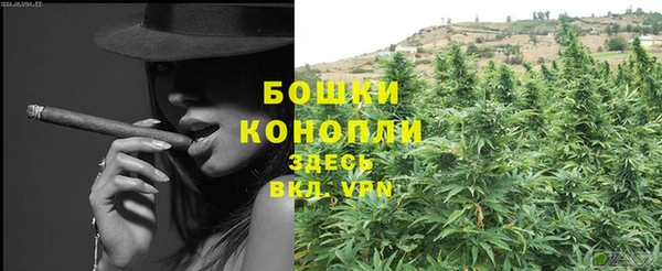 ПСИЛОЦИБИНОВЫЕ ГРИБЫ Вязьма