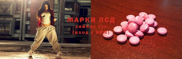 ПСИЛОЦИБИНОВЫЕ ГРИБЫ Вязьма