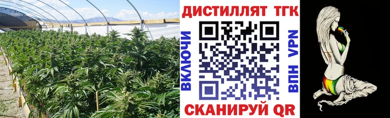 mega зеркало  Ивдель  ТГК THC oil 