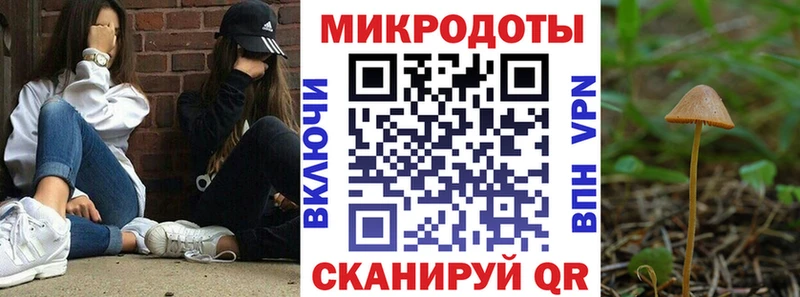 Псилоцибиновые грибы MAGIC MUSHROOMS  кракен ссылки  Ивдель 